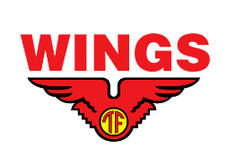Logo Wings Group